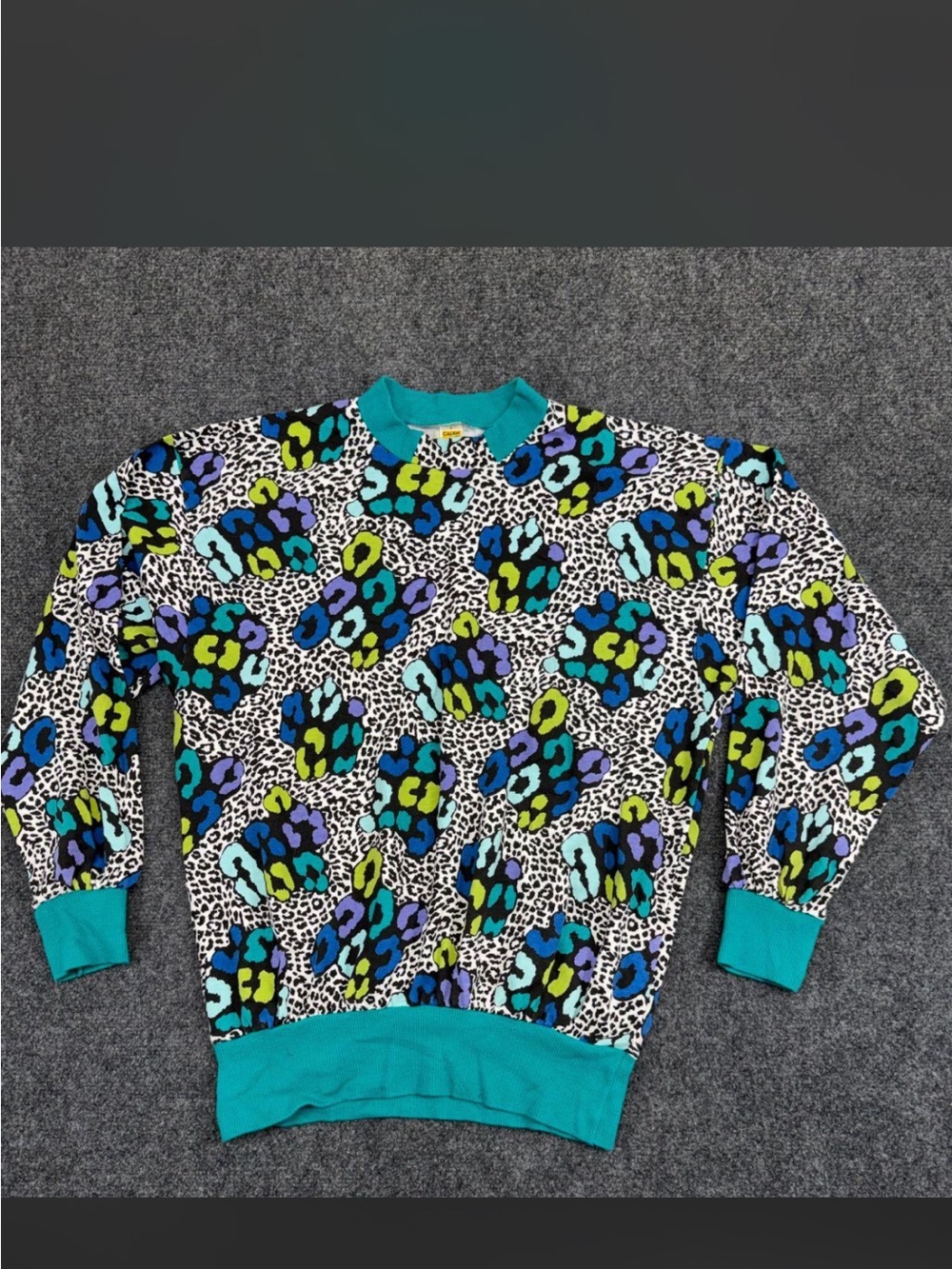Vibrant Leopard Print Pullover with Teal Trim